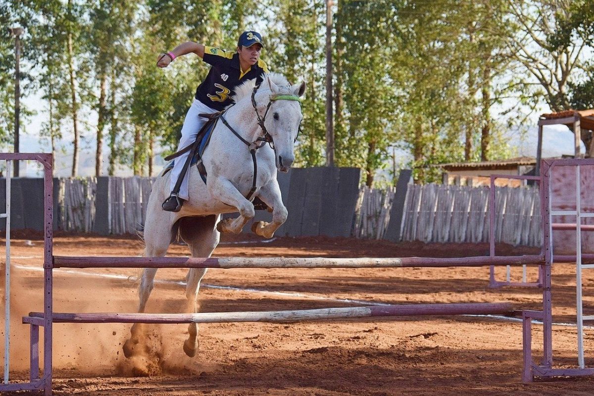 3 sauts de cheval bricolés à réaliser dès aujourd'hui : conseils d'un expert en équitation