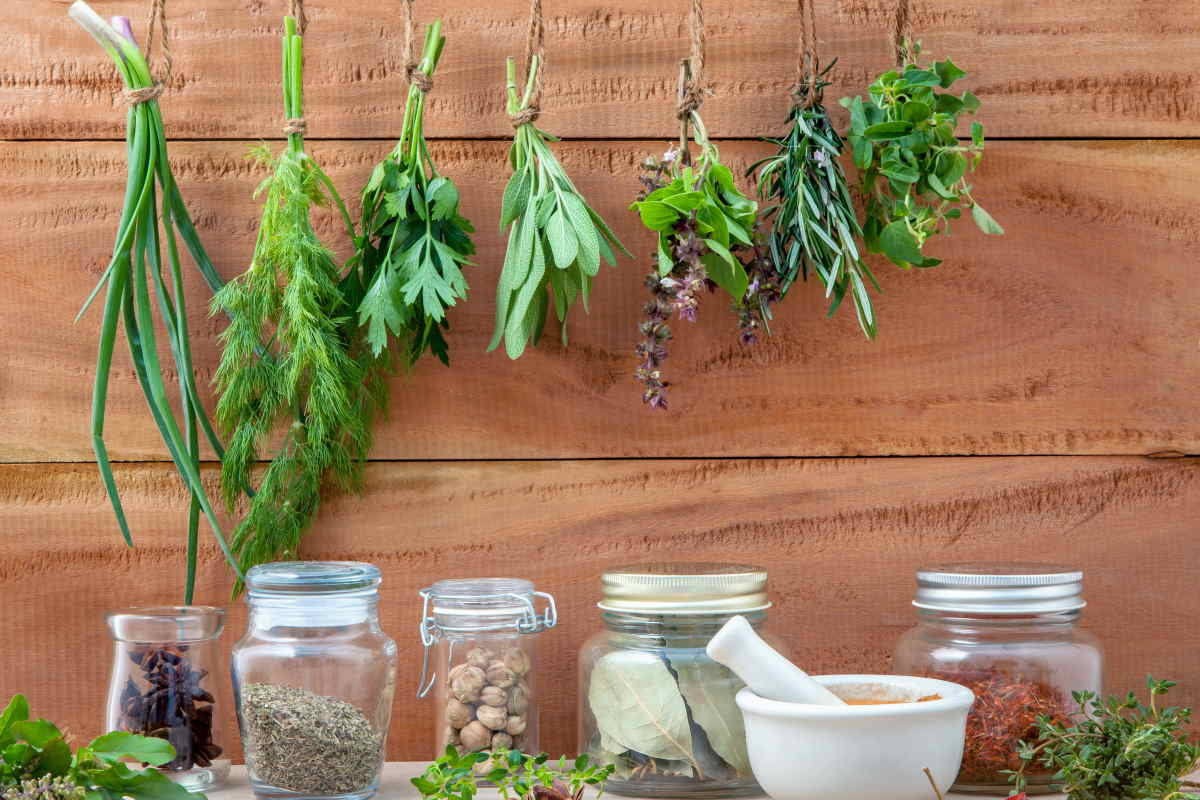 Comment conserver et utiliser les herbes fraîchement taillées : astuces pour vos recettes