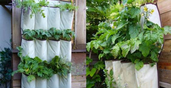 Comment transformer une étagère de rangement en jardin vertical : astuces et inspirations pour un espace vert chez soi