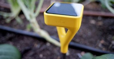 Edyn Garden : découvrez le kit Wi-Fi révolutionnaire pour réussir votre potager à coup sûr