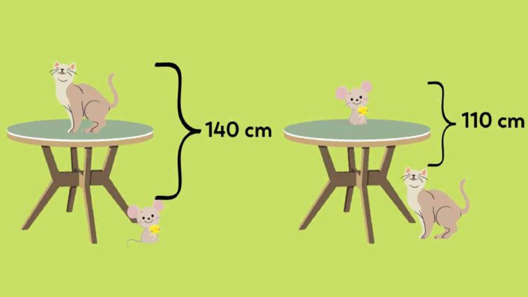 Seuls les génies réussissent à trouver la hauteur de la table en 40 secondes : un test de QI