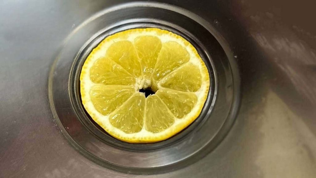 Adieu odeurs gênantes et canalisations bouchées : placez un citron dans votre égout !