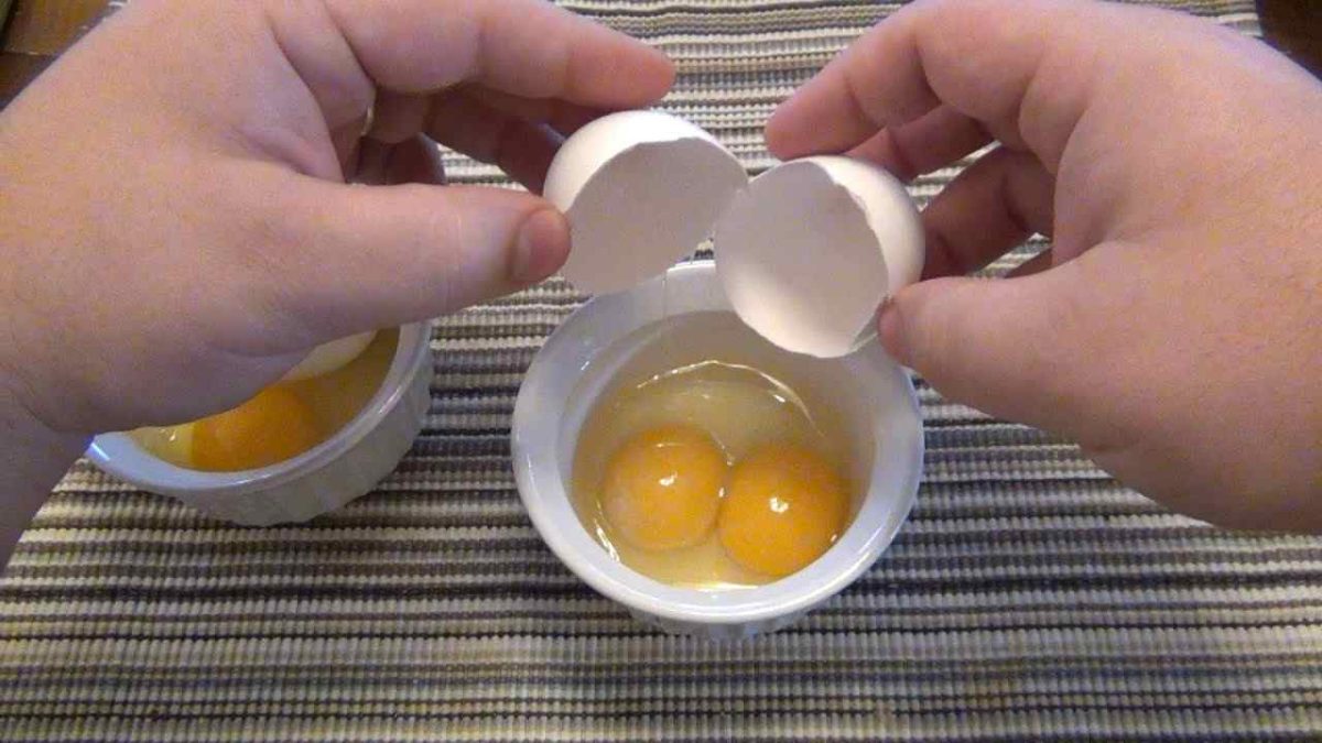 Ce que cache un œuf à double jaune : un phénomène curieux et intrigant !
