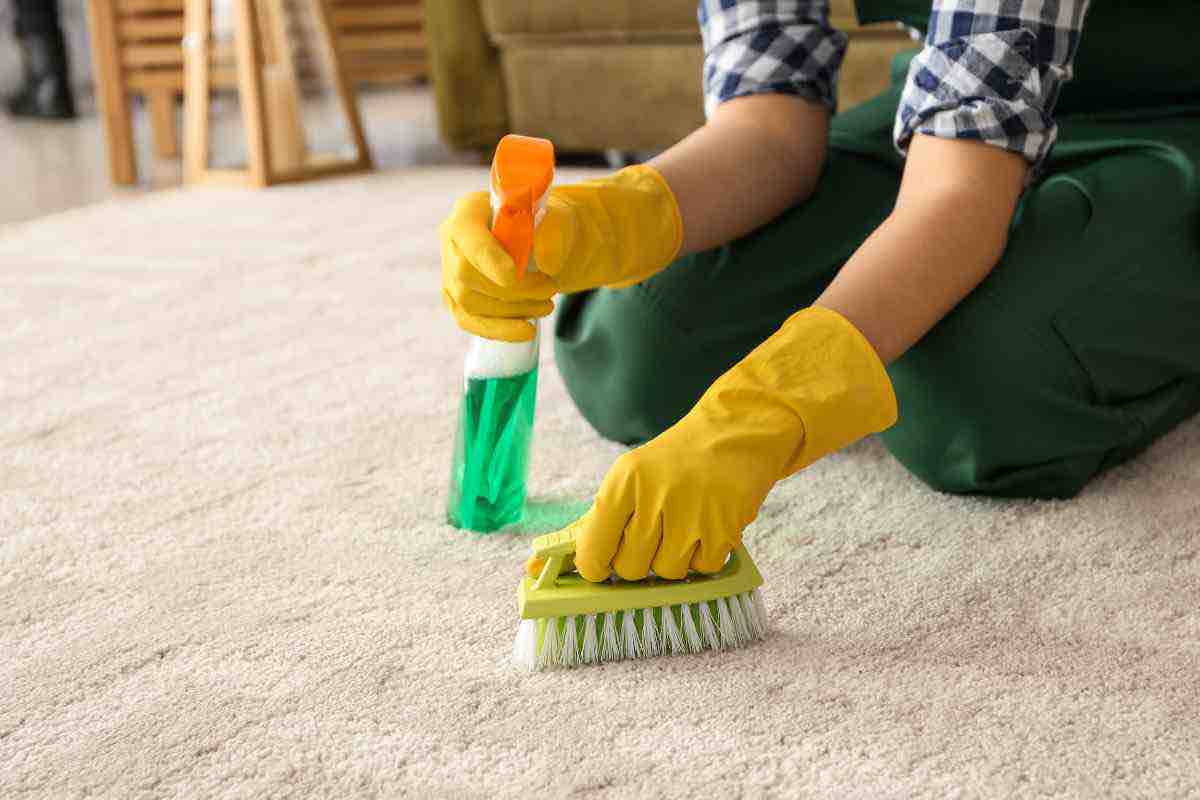 Comment nettoyer vos tapis ? La méthode économique qui révolutionnera votre ménage